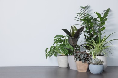 Photo of Many different beautiful house plants on wooden table near white wall, space for text