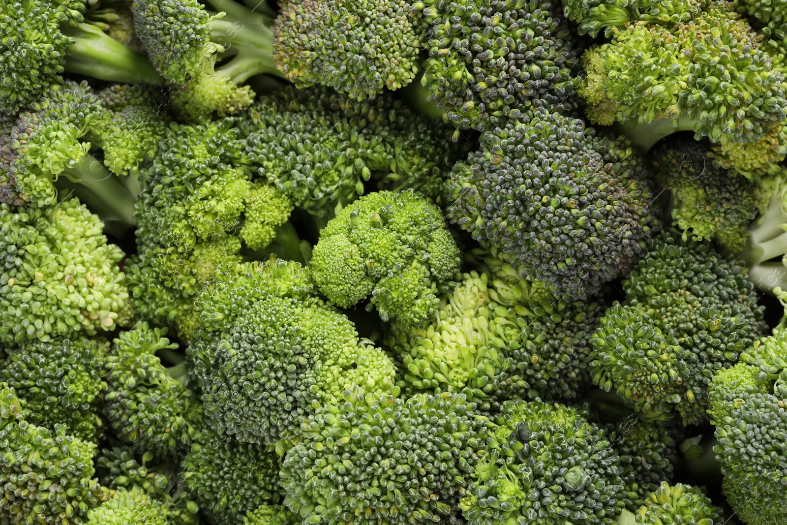 Photo of Fresh raw broccoli as background, top view