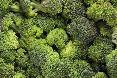 Fresh raw broccoli as background, top view