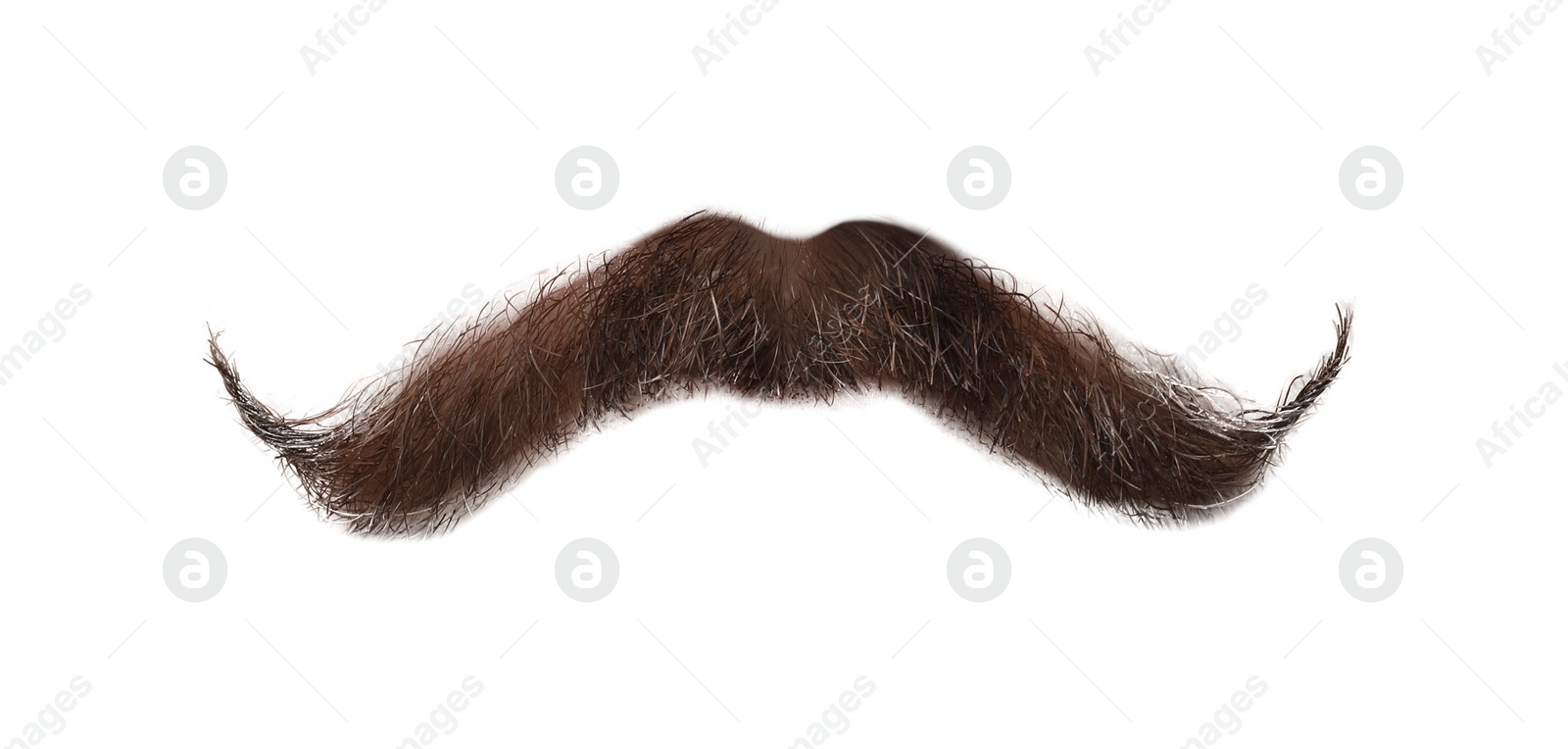 Image of Stylish brown mustache isolated on white. Facial hair