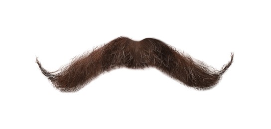 Image of Stylish brown mustache isolated on white. Facial hair