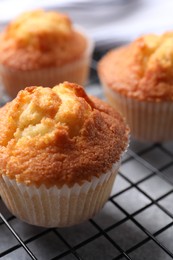 Delicious sweet muffins on grey table, closeup