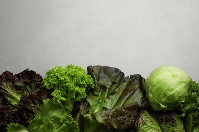 Different sorts of lettuce on light grey table, flat lay. Space for text