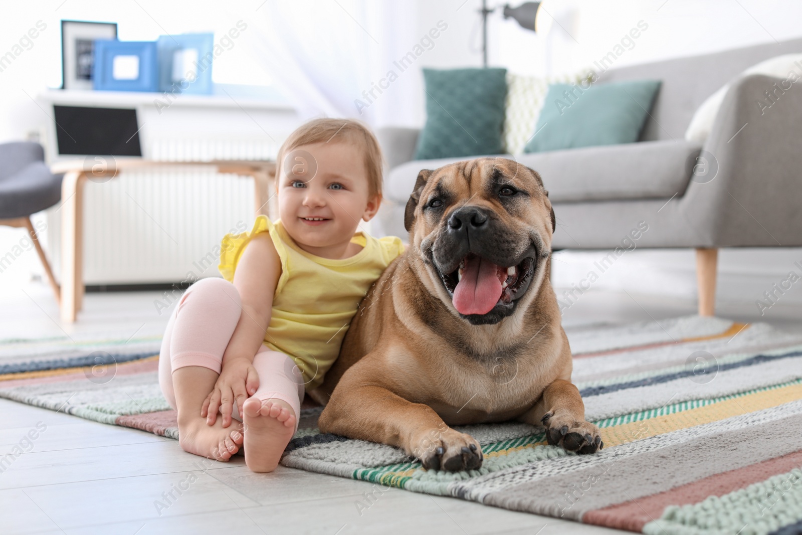 Photo of Cute little child with dog at home