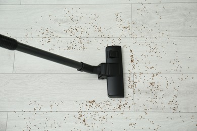 Photo of Removing groats from wooden floor with vacuum cleaner at home, top view