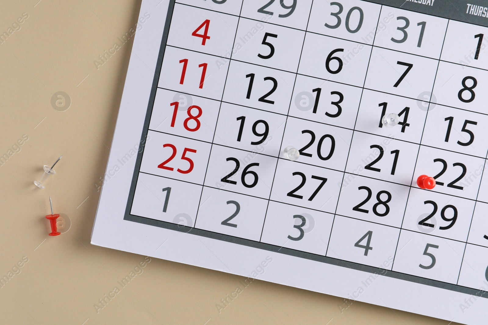 Photo of Timetable. Calendar page and drawing pins on beige background, top view