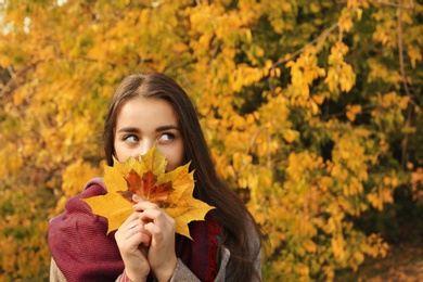 Young beautiful woman with leaves in park. Autumn walk