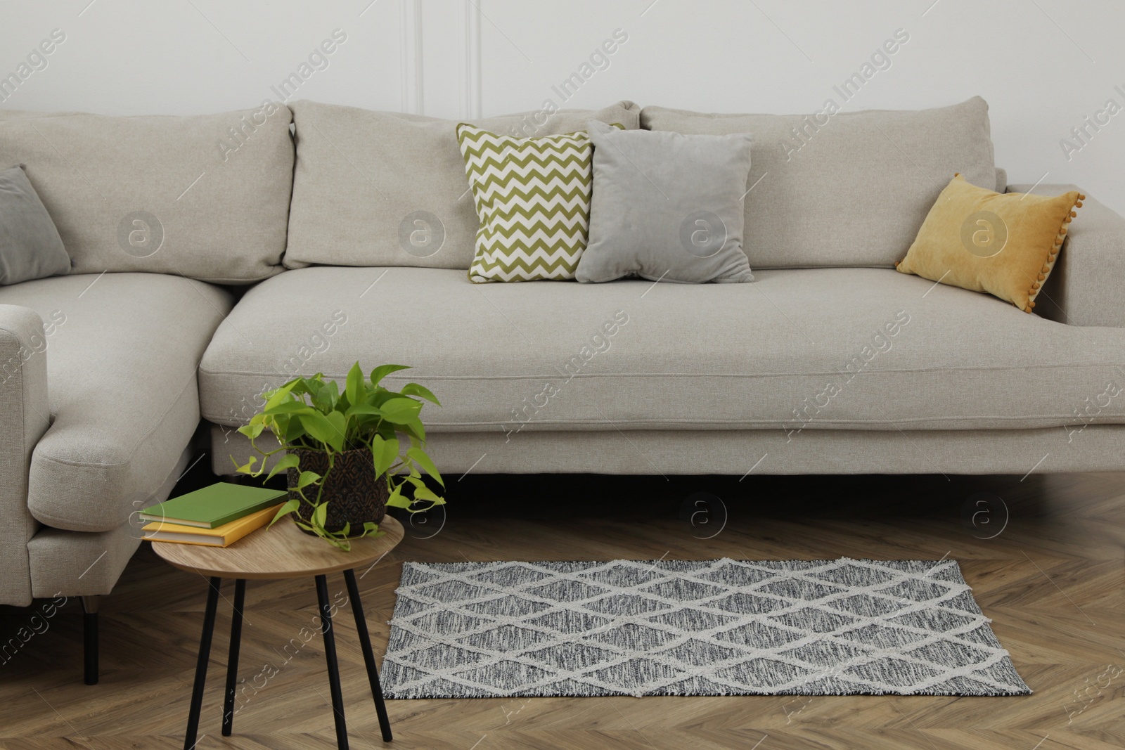 Photo of Modern living room interior with comfortable sofa and rug