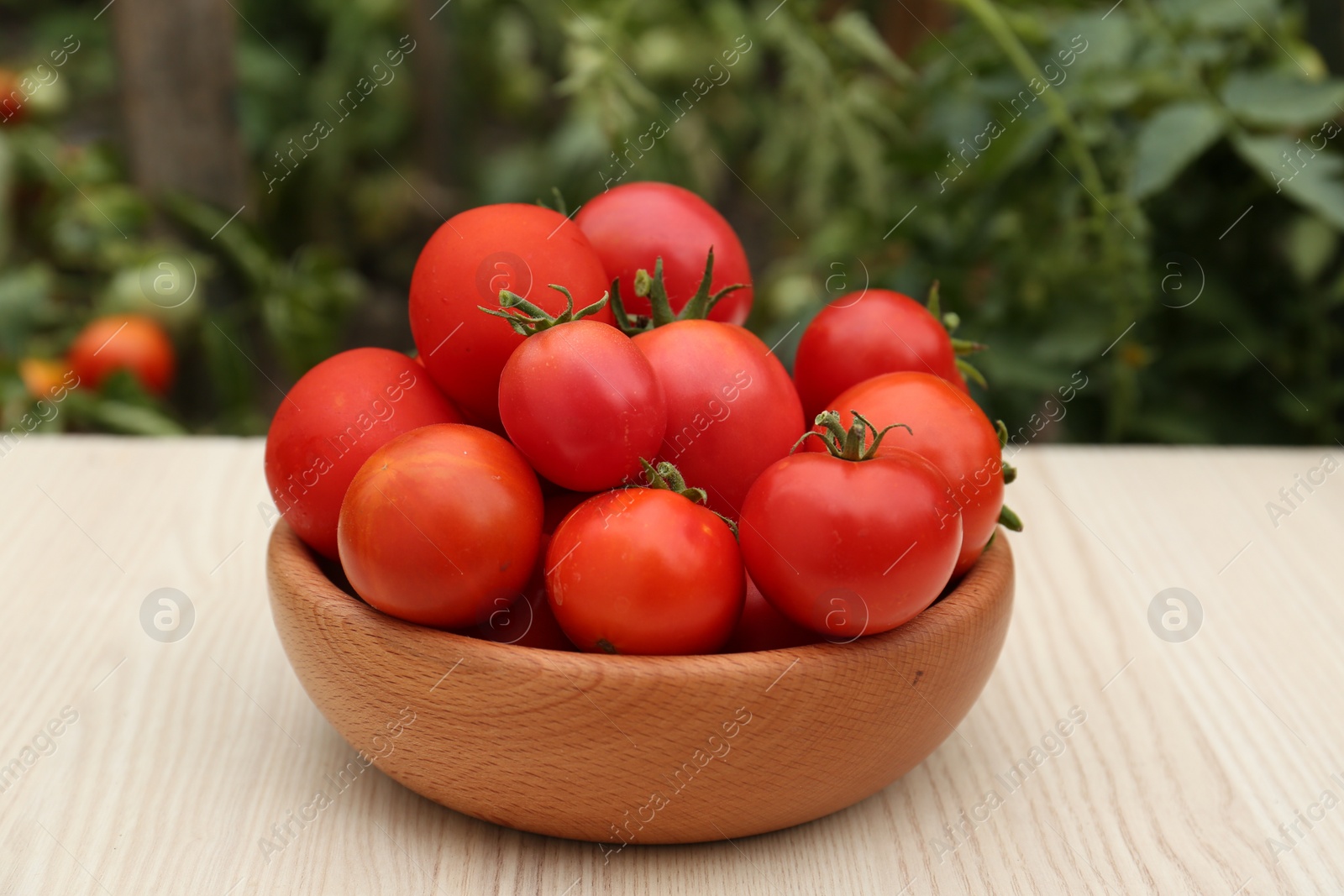 Photo of Bowl of ripe red tomatoes on light wooden table in garden