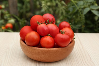Bowl of ripe red tomatoes on light wooden table in garden