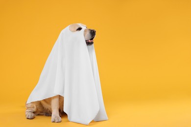 Photo of Cute Labrador Retriever dog wearing ghost costume on orange background, space for text. Halloween celebration
