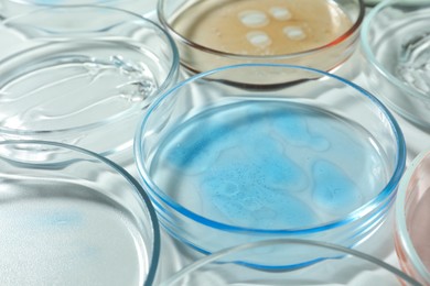 Photo of Petri dishes with liquids on white table, closeup