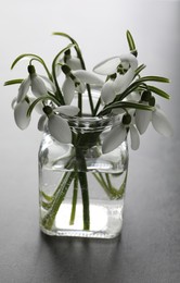 Photo of Beautiful snowdrop flowers in glass jar on grey table