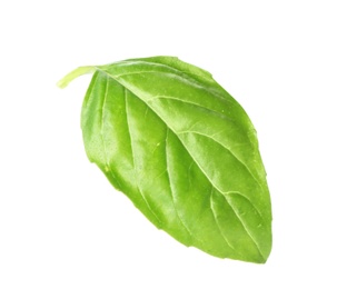Photo of Fresh green basil leaf on white background