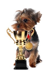 Image of Cute Yorkshire terrier dog with gold medal and trophy cup on white background