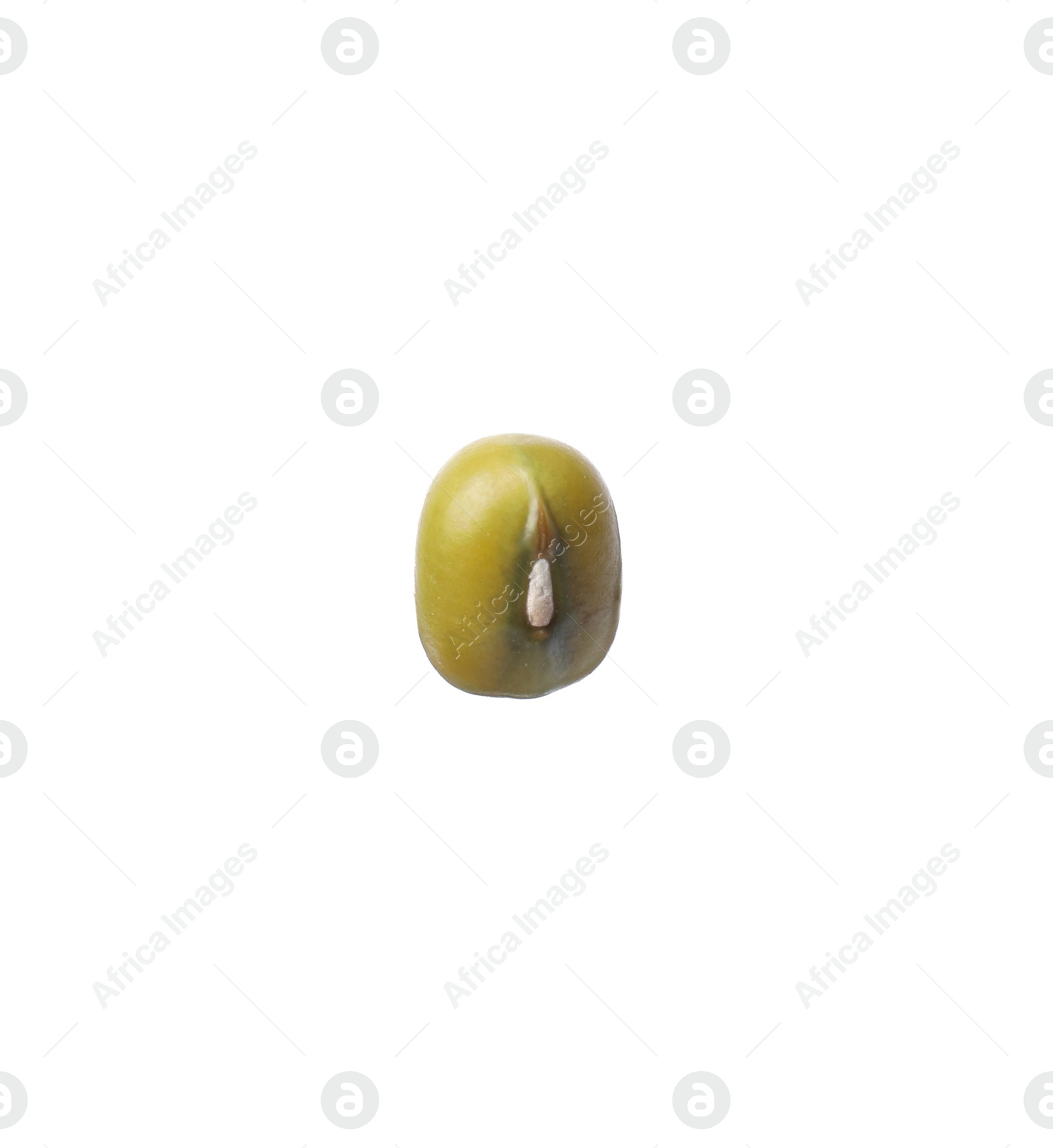 Photo of Green mung bean isolated on white. Organic grain