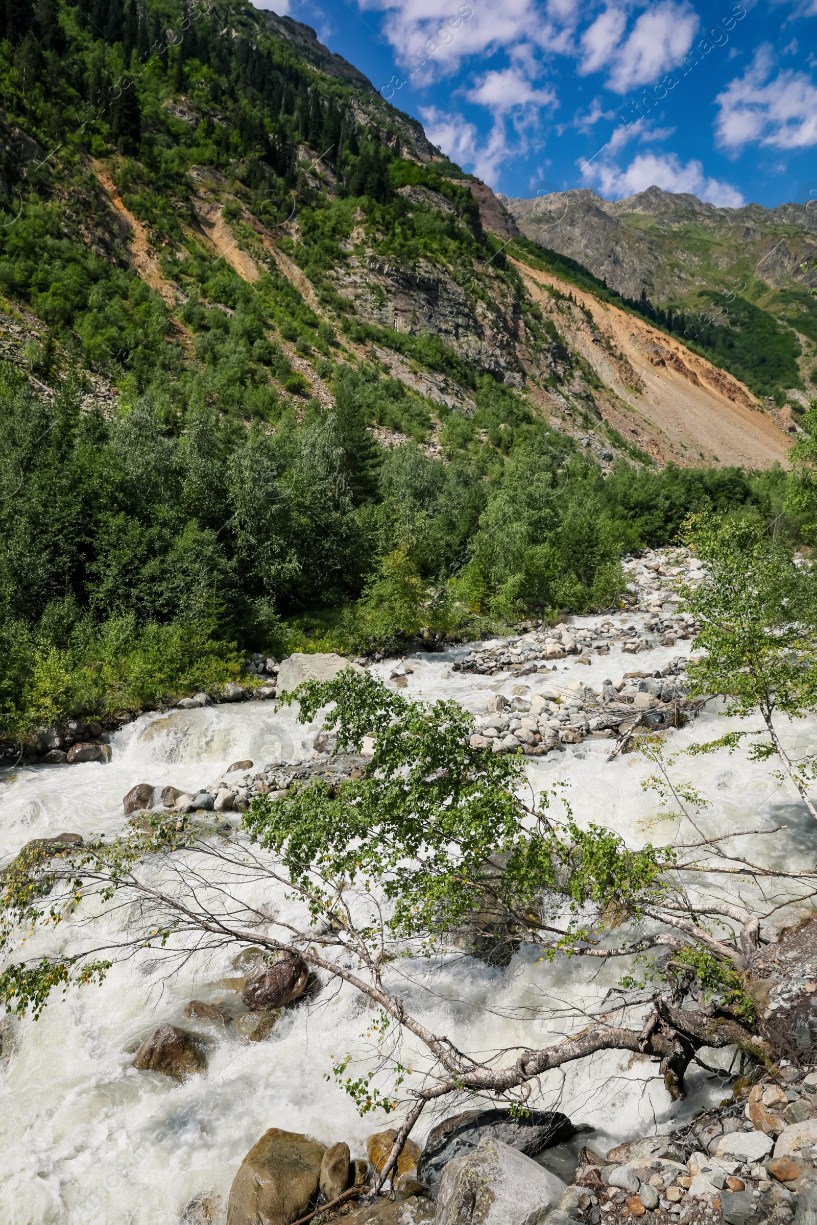 Photo of Picturesque view of beautiful river in mountains