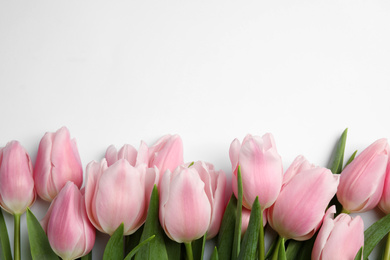 Photo of Beautiful pink spring tulips on white background, top view