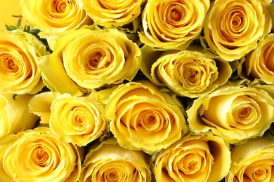 Photo of Beautiful bouquetyellow roses as background, top view