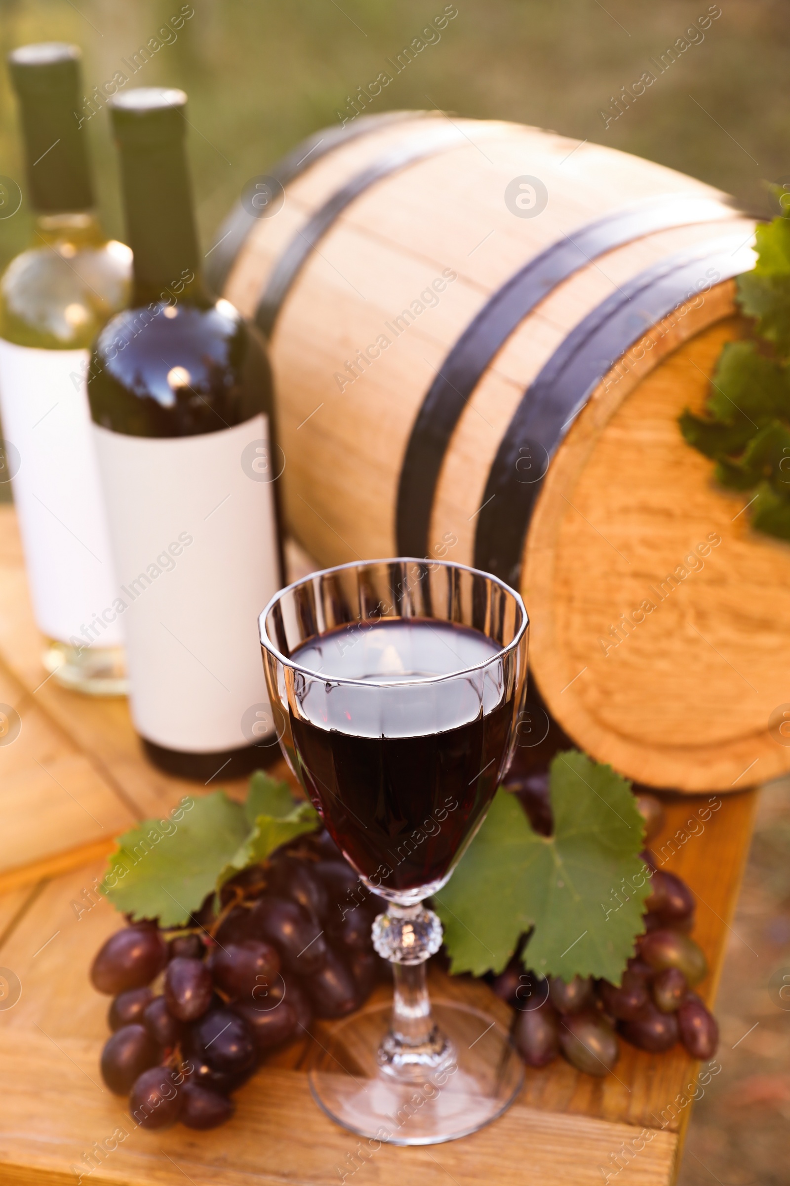 Photo of Composition with wine and ripe grapes on wooden table in vineyard