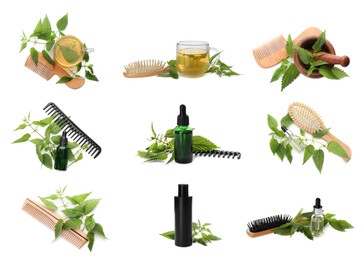 Image of Set with stinging nettle extracts, infusions, combs, brushes and green leaves on white background. Natural hair care