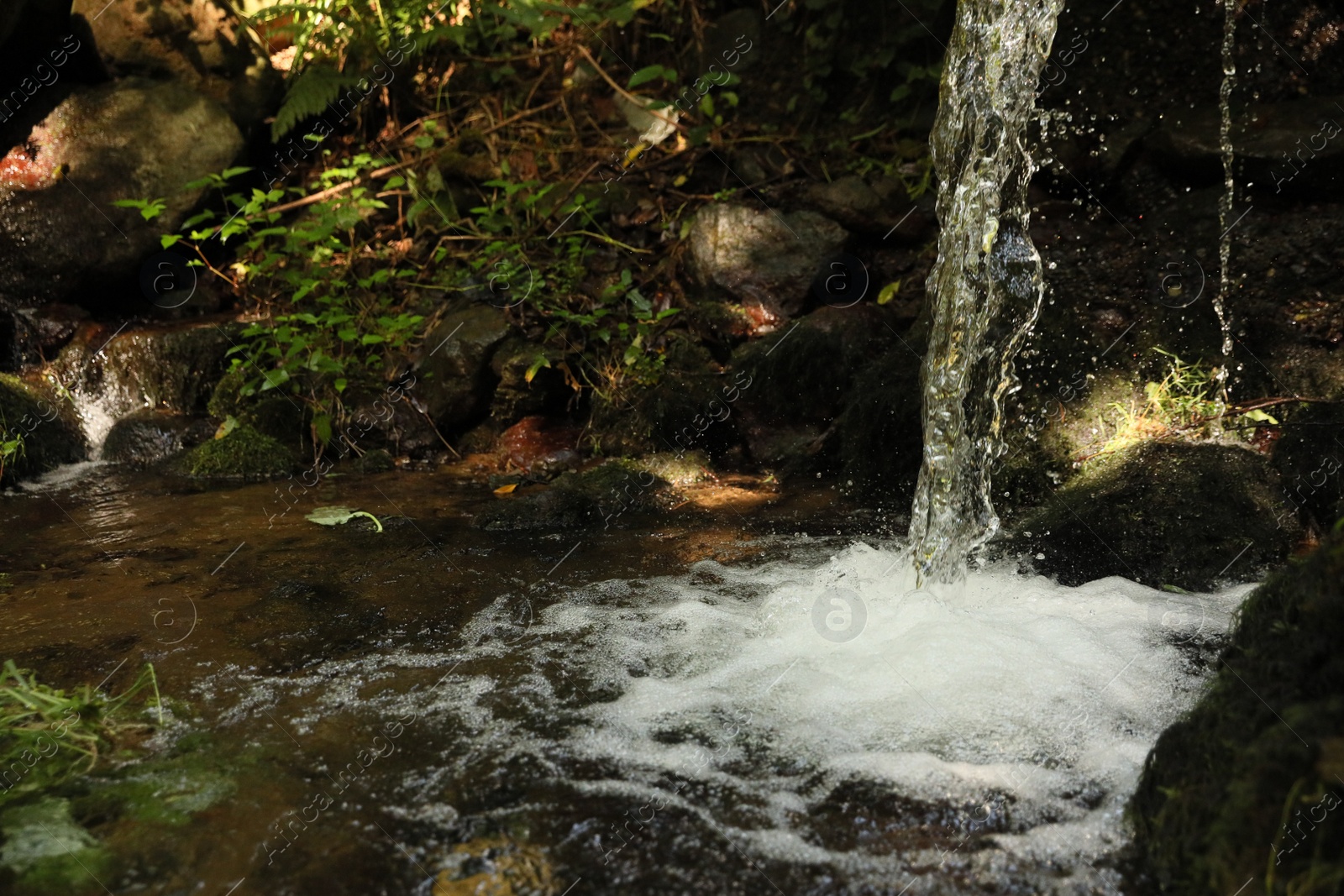 Photo of Picturesque view of mountain waterfall, stones and green plants