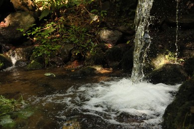 Photo of Picturesque view of mountain waterfall, stones and green plants