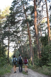 Young friends in forest on summer day. Camping season