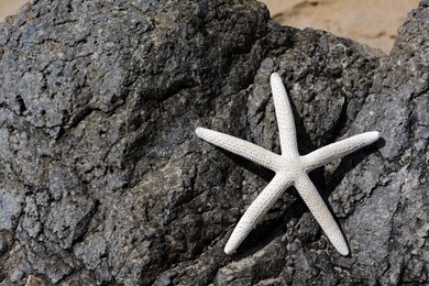Black stone with beautiful starfish on beach, space for text