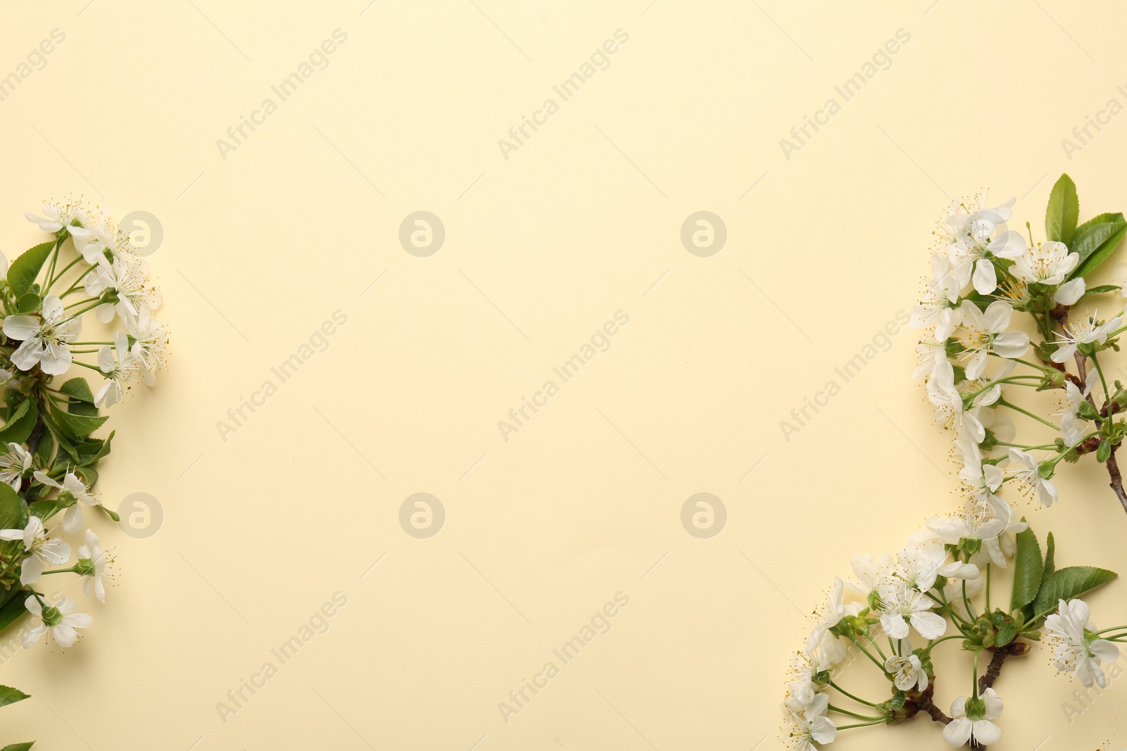 Photo of Spring tree blossoms on beige background, flat lay. Space for text