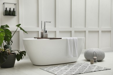 Modern ceramic bathtub and green plant near white wall indoors