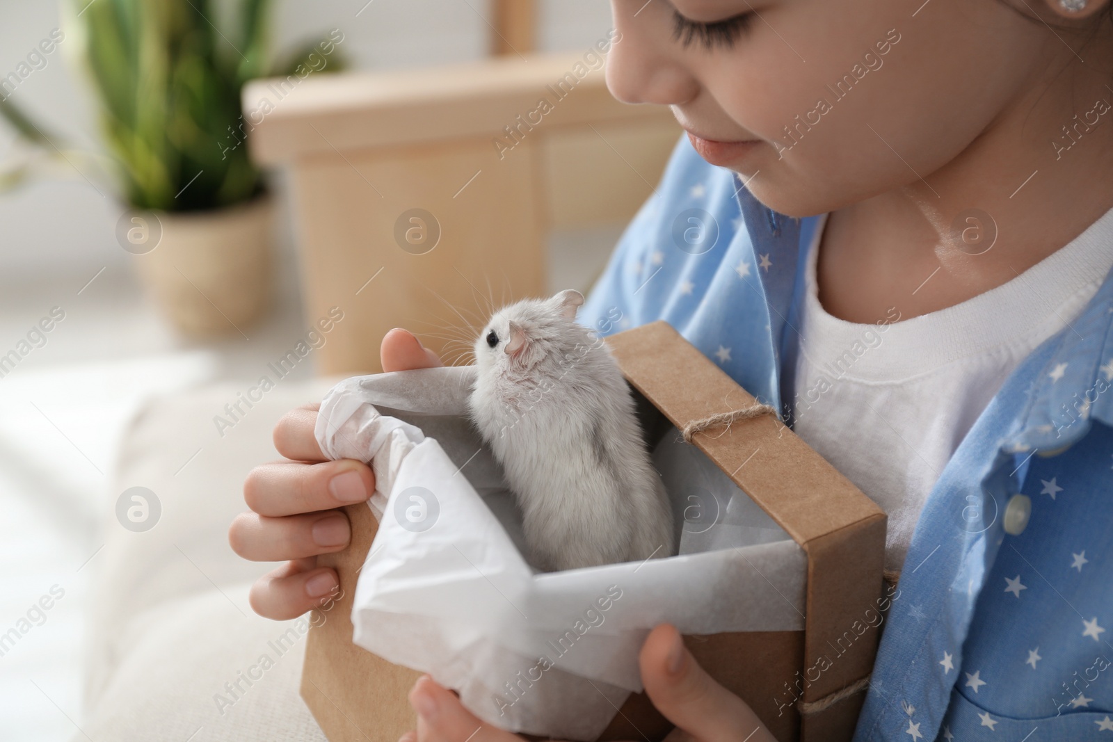 Photo of Happy little girl holding gift box with cute hamster at home