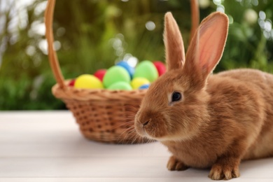 Photo of Cute bunny and basket with Easter eggs on table against blurred background. Space for text