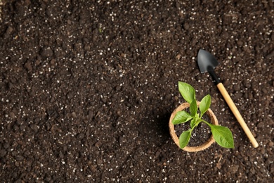 Vegetable seedling in peat pot and shovel on soil, top view. Space for text