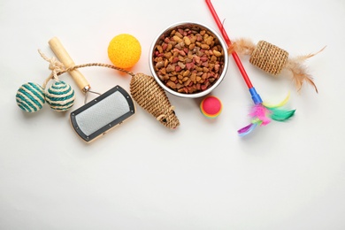 Cat's accessories and food on white background