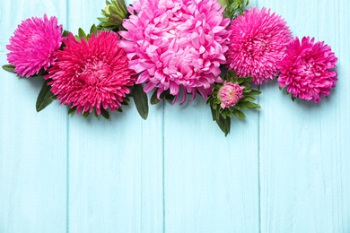 Beautiful aster flowers and space for text on wooden background, flat lay