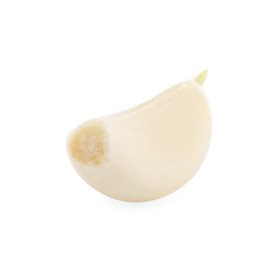One peeled clove of garlic isolated on white