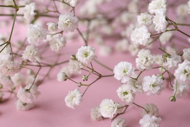 Beautiful gypsophila flowers on pink background, closeup view
