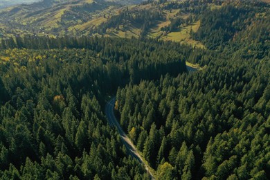 Photo of Aerial view of asphalt road among trees in mountain forest on sunny day. Drone photography