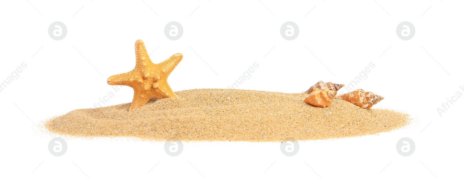 Photo of Beautiful sea star, shells and sand isolated on white