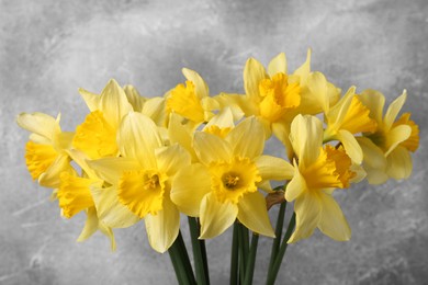 Photo of Bouquet of beautiful yellow daffodils on grey background, closeup