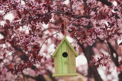 Green wooden bird house hanging from tree branch outdoors