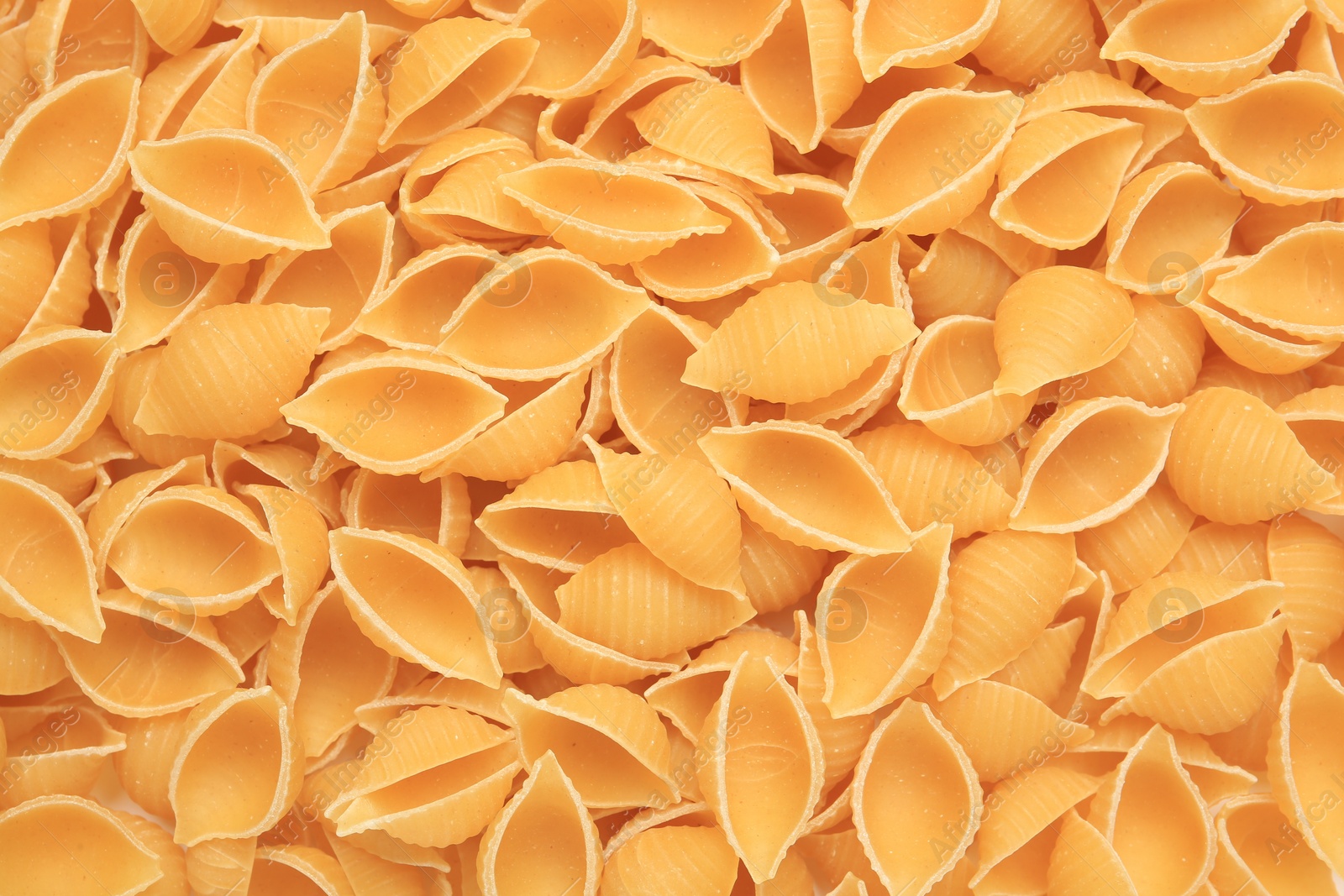 Photo of Raw conchiglie pasta as background, top view