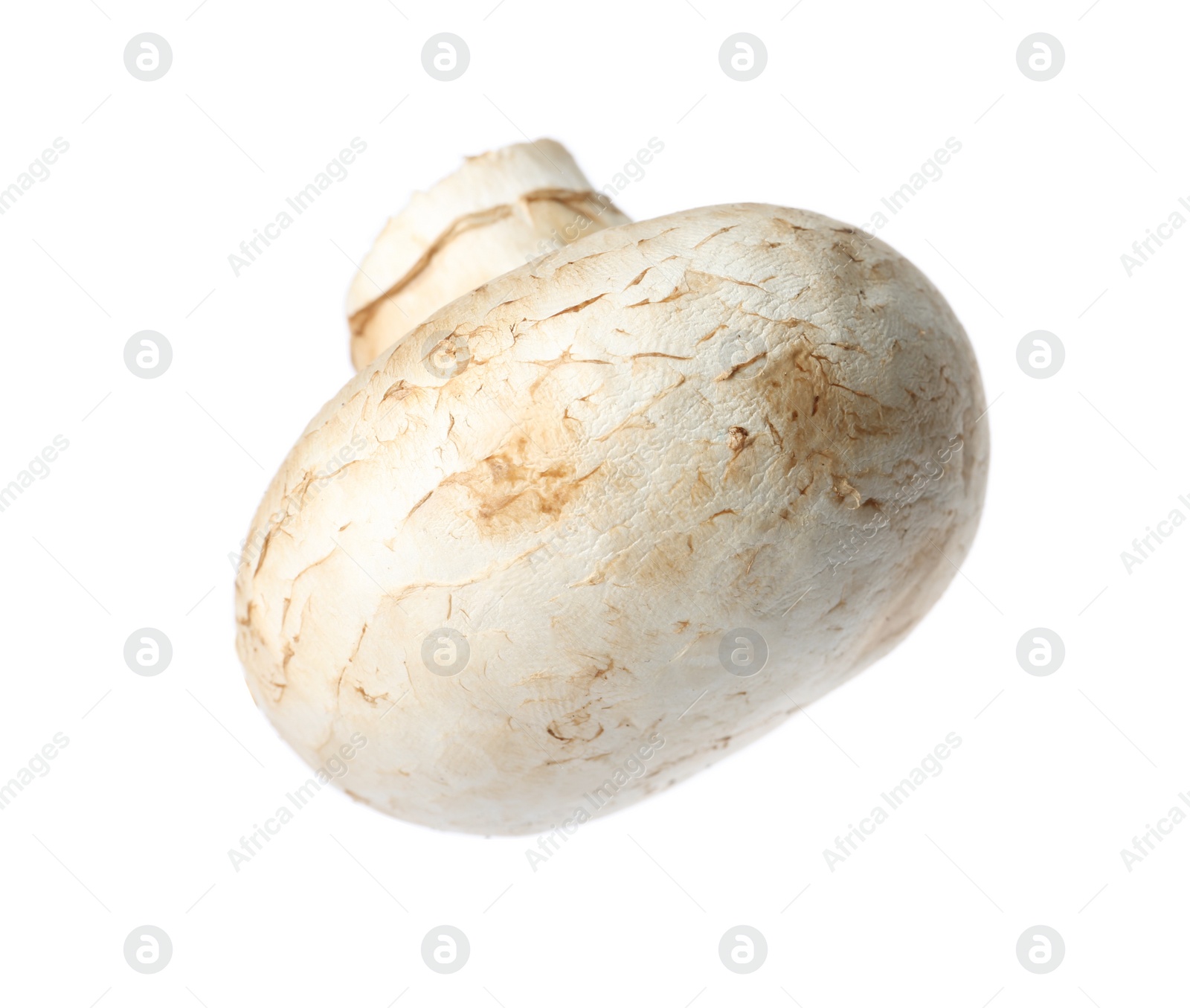 Photo of Fresh champignon mushroom isolated on white. Healthy food