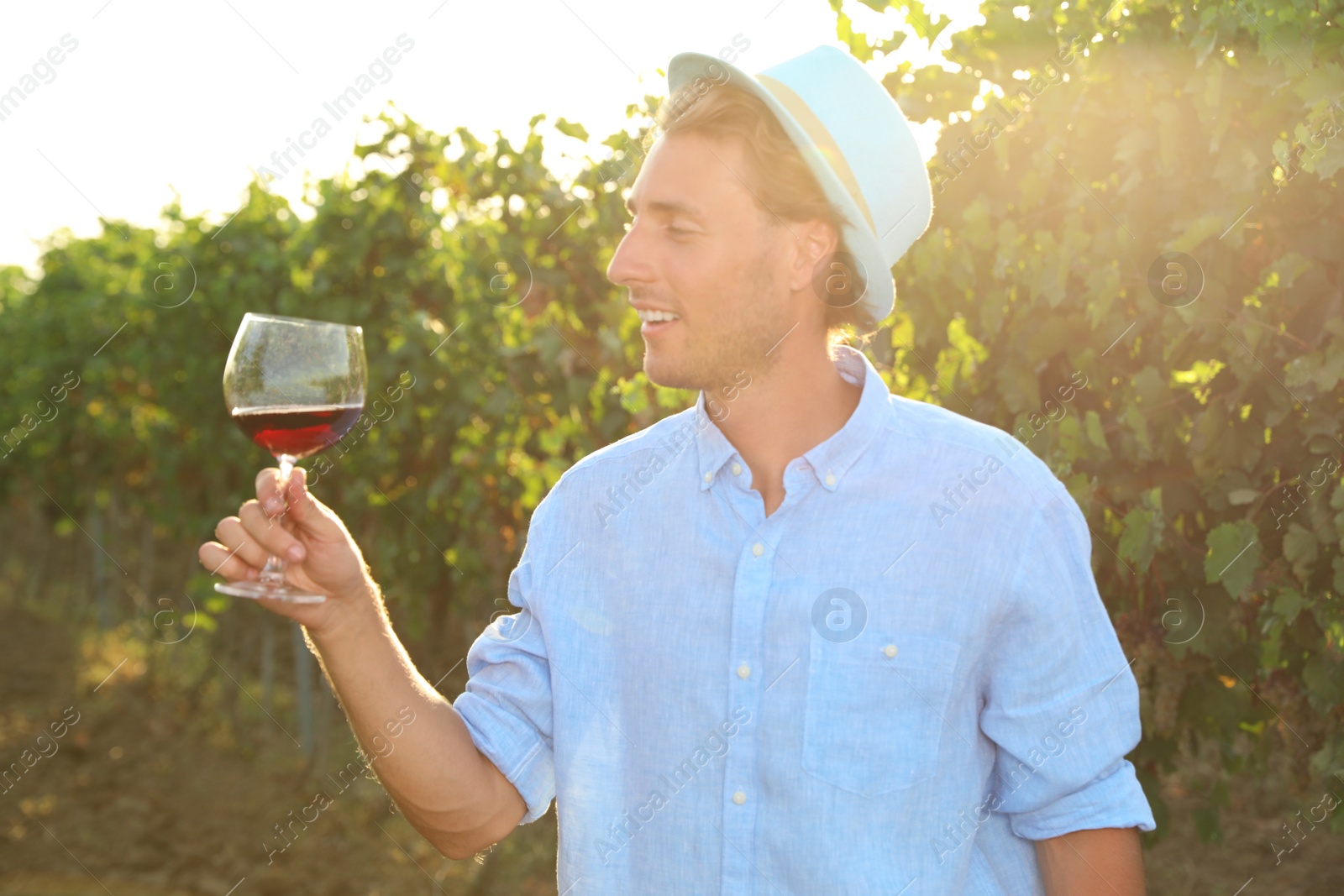 Photo of Young handsome man enjoying wine at vineyard on sunny day