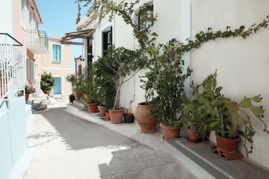 Photo of City street with beautiful buildings and plants on sunny day