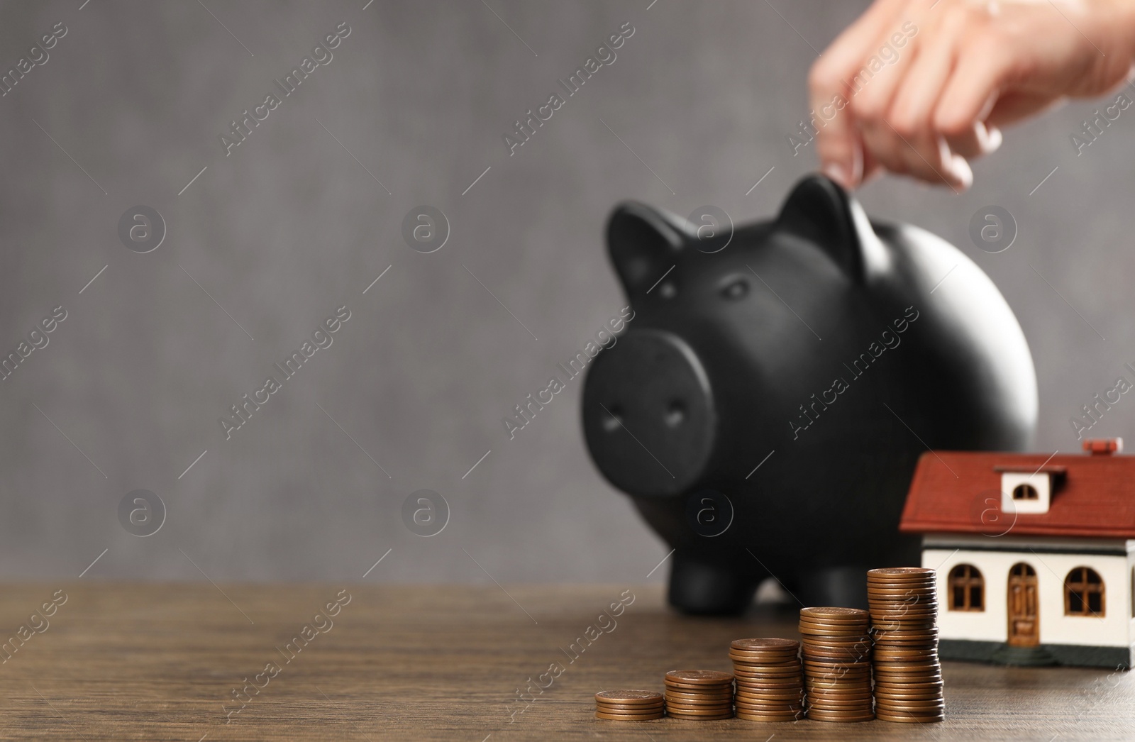 Photo of Savings for house purchase. Woman putting coin into piggy bank at wooden table, focus on money. Space for text