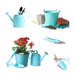 Set with different gardening tools and plants on white background 