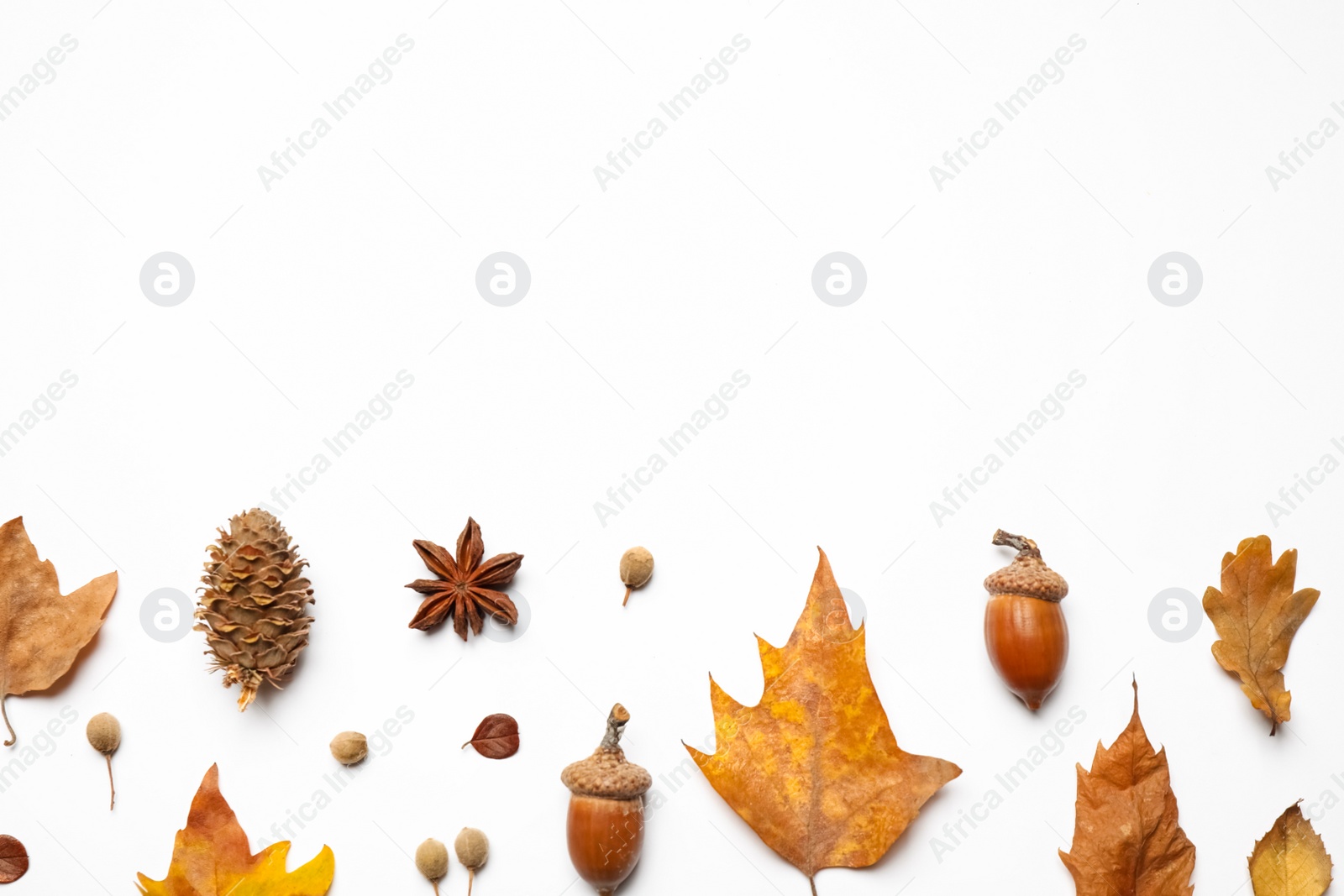 Photo of Flat lay composition with autumn leaves and space for text on white background