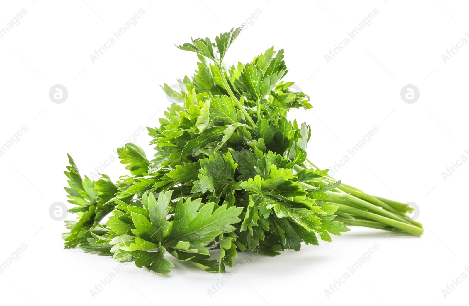 Photo of Fresh green parsley on white background